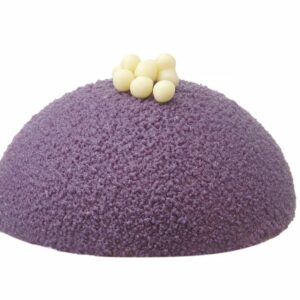 677216_CAST_2024_01_IMGP0978