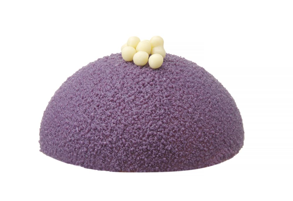 677216_CAST_2024_01_IMGP0978