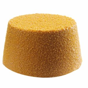 677223_CAST_2024_01_IMGP0994