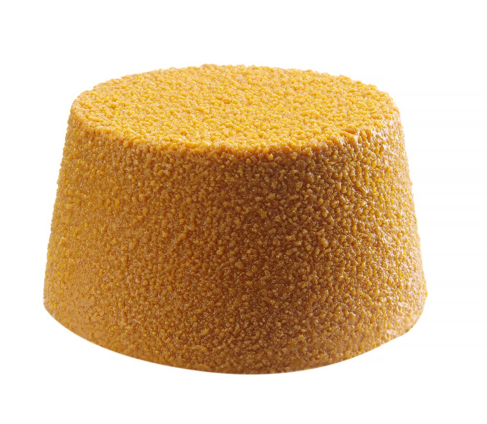 677223_CAST_2024_01_IMGP0994