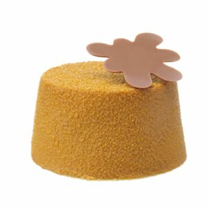 677223_CAST_2024_02_IMGP0963