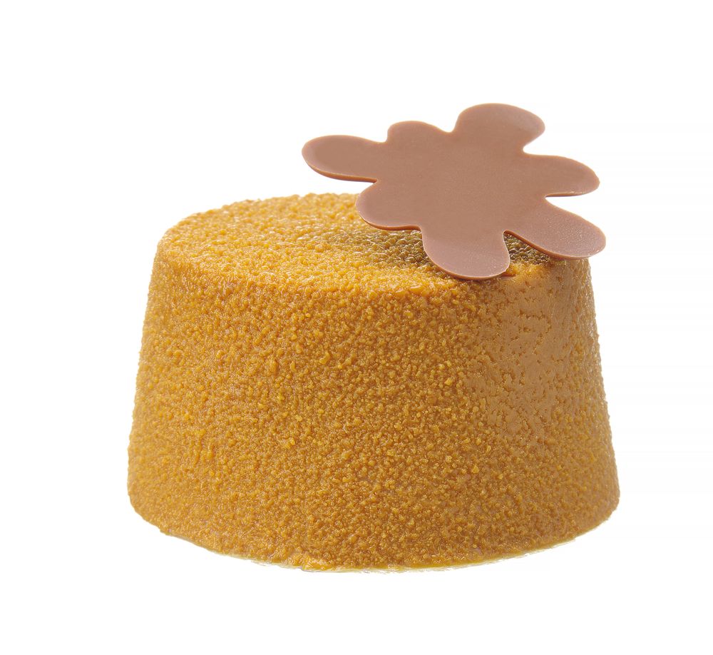 677223_CAST_2024_02_IMGP0963