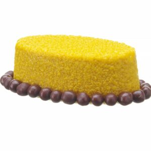 677247_CAST_2024_01_IMGP0970