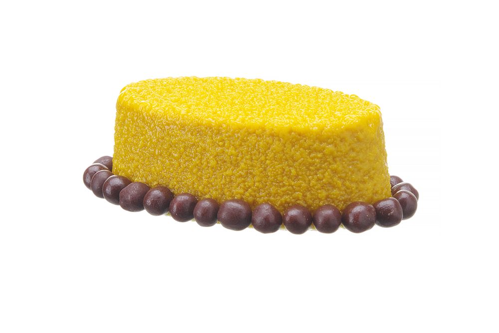 677247_CAST_2024_01_IMGP0970